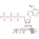 ATP Molecule Cross Stitch Pattern PDF Download