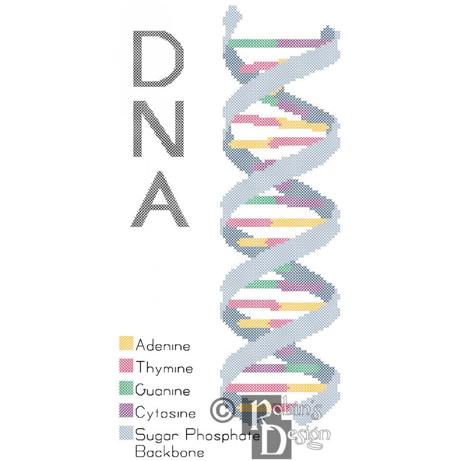 DNA Strand Cross Stitch Pattern PDF Download