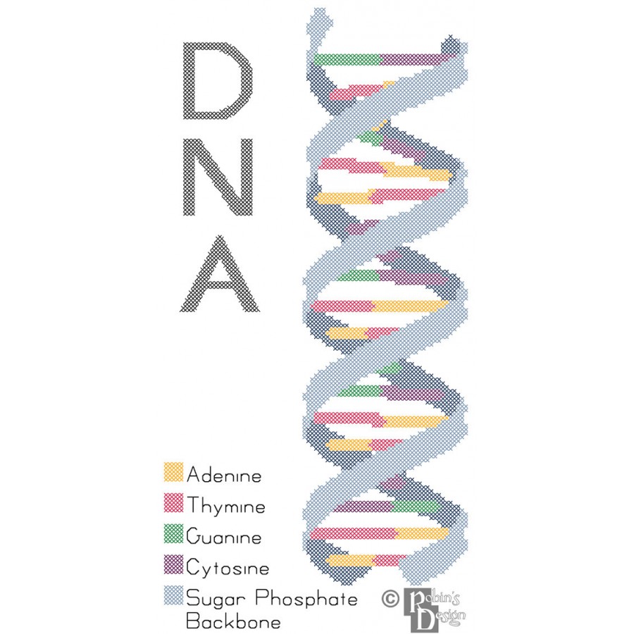 DNA Strand Cross Stitch Pattern PDF Download
