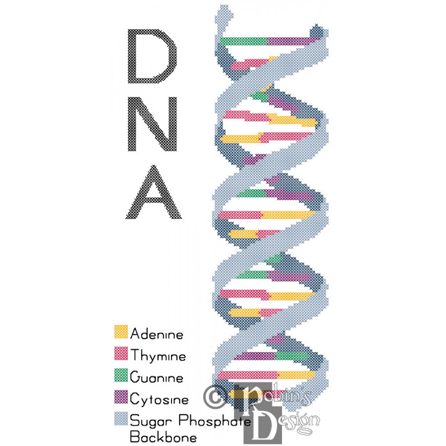 DNA Science Cross Stitch Pattern Digital Download PDF