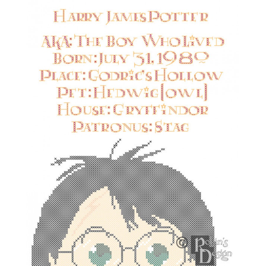 Harry Potter Biographical Facts Cross Stitch Pattern PDF Download